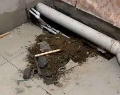 崇左市卫生间漏水检测哪家好